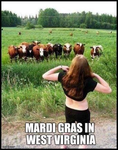 WV Mardigras