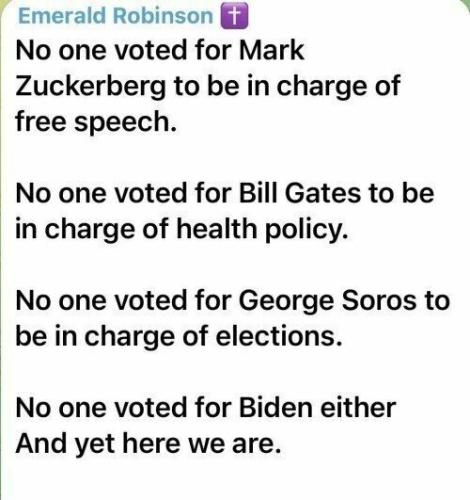 image_1638374036.911