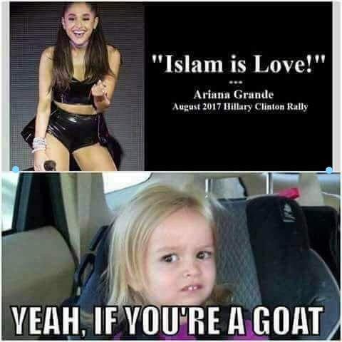 M Goat