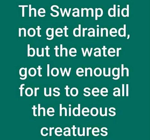 swamp drained