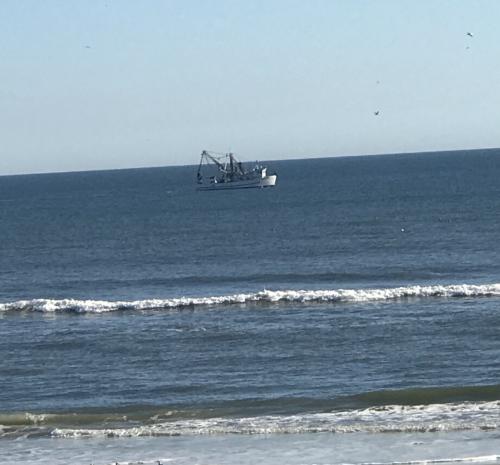 B1454F91-DE3C-4CD3-A2B0-C839F0CFD02F