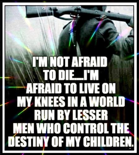 766c1995134d633f90da605519b6b945_500x0