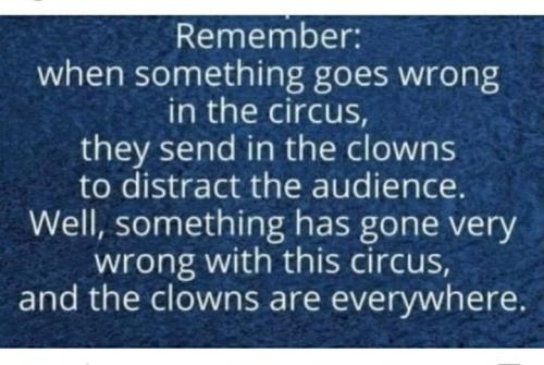 266820723_455197029561988_3091759604613463614_n