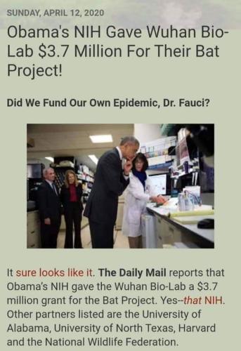 d472c20e-1b0c-4f02-a3d8-2e55c1253ea8d