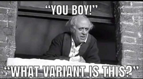 Screenshot_20211203-115638_Telegram