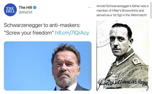 image_1638457074.383