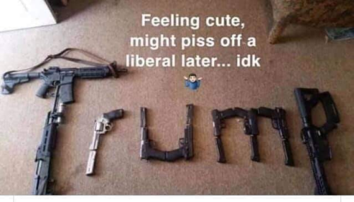 gun