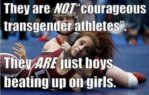 f438f2122986254686827b88f1b99ed4_500x0