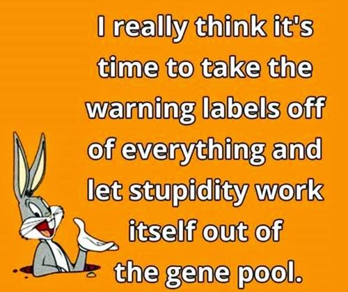 stupidity
