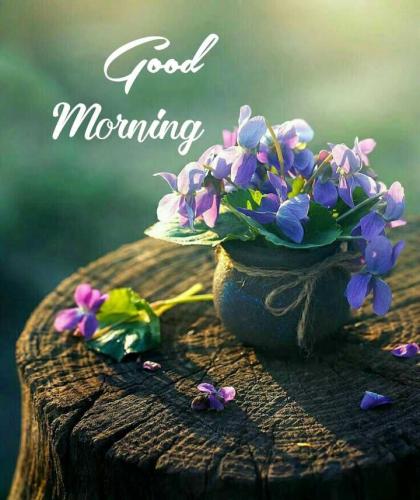 good-morning-image-with-beautiful-26118505