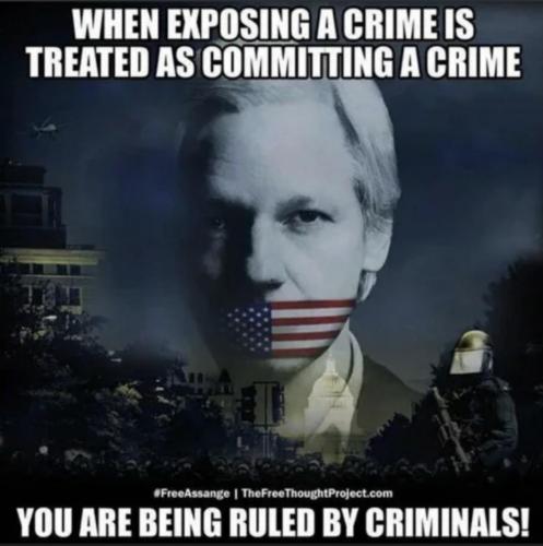 M criminals