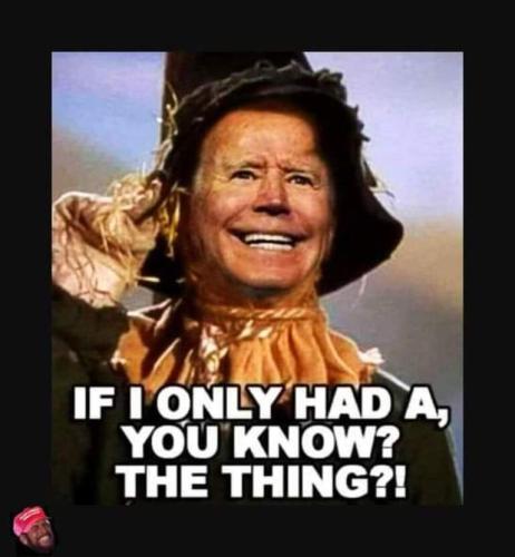 347acca18c95089ceaadfa00d37282b0_500x0