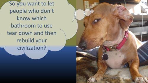 1dogTear Down Civilization