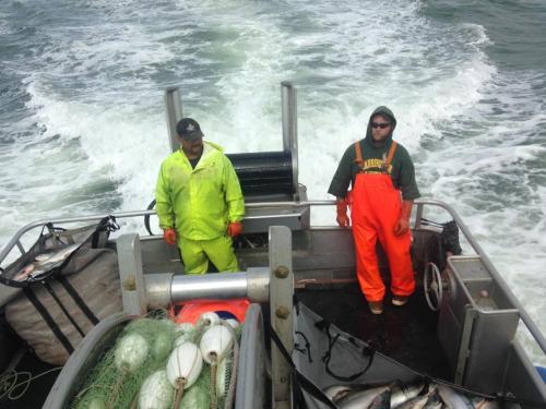 3EF7D41E-E70C-42B0-9603-6E2D6C485B95