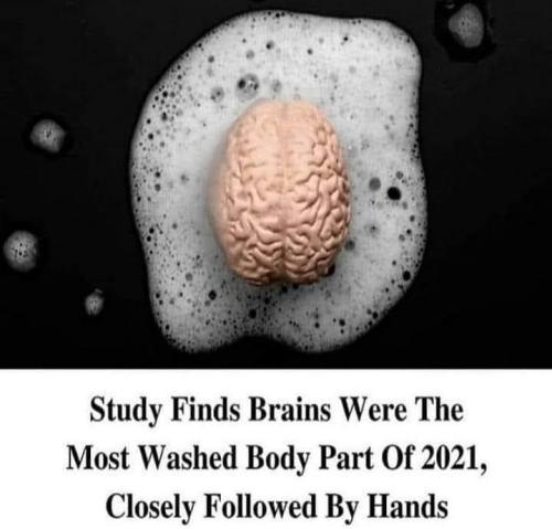 brain