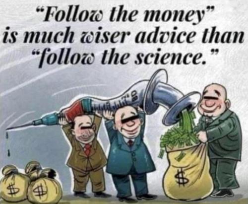 M follow money