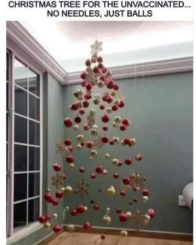 IMG_20211214_075620_685