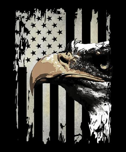 american-flag-patriotic-proud-