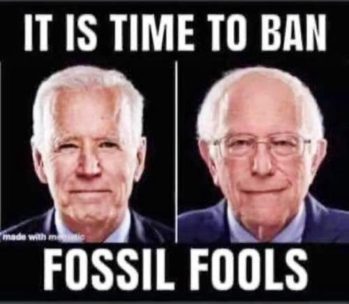 M fossils