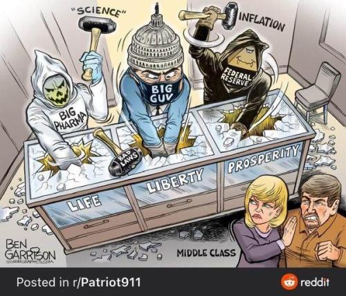 big pharma big guy and feds looting america