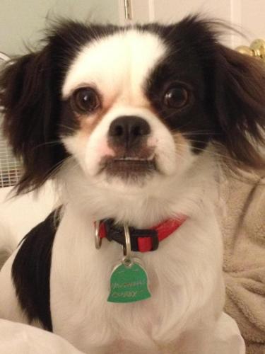 96C02A28-1C16-4774-BD01-A6203C498B6E