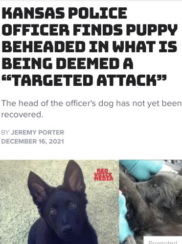 C767ED92-4D22-4427-A547-B403DA504A40