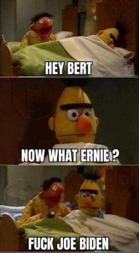 M Bert FJB