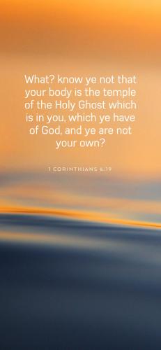 C57FC04C-11D5-4421-A876-C4C5B9DB9D8A