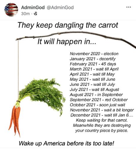 THE CARROT
