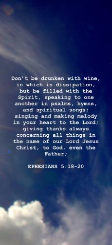 AFE4A111-3521-4E62-9A95-3F4235202508