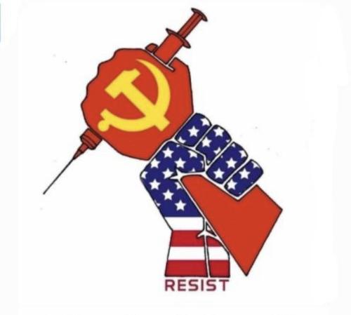 z229