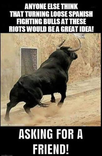 FB_IMG_1637515105020