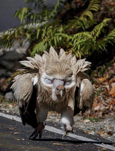 5AE1BB1F-A5A0-4AAB-95C9-720522D6FE93