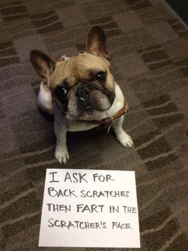 scratcgh fart