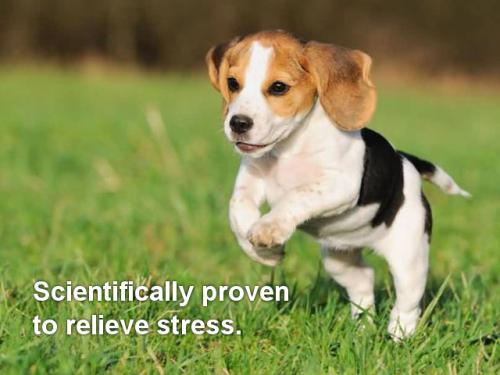 relievestress