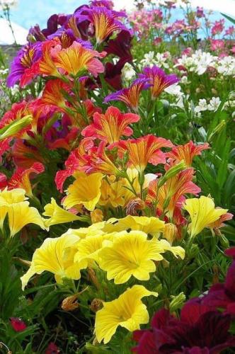 8629A329-2F0D-4931-B228-831F332A1504