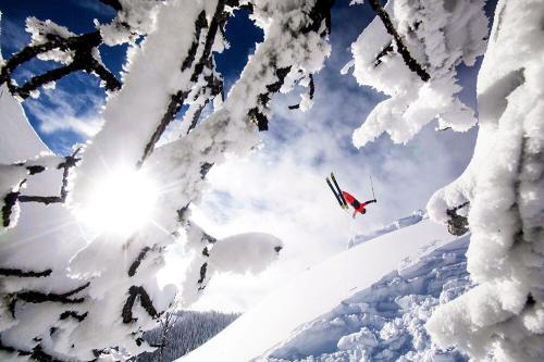 DB1349C3-9031-432C-A50A-2E39E972B50D