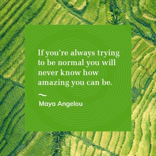 329C8D5E-D50E-4448-8740-4E3452DEB1A2