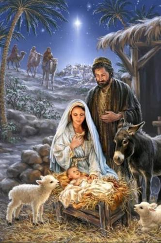 img (31)