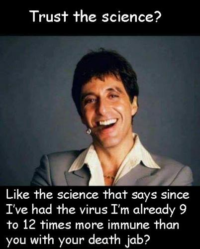 269251806_453562646135286_3016219916767702717_n