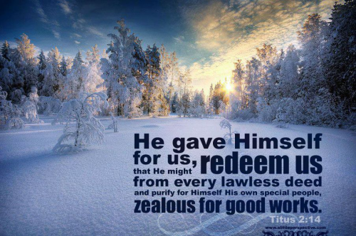 img - 2021-12-08T085917.702