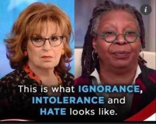 image_1638033145.462