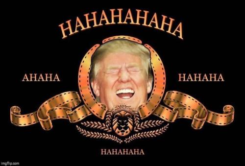 Donald Trump Laughing