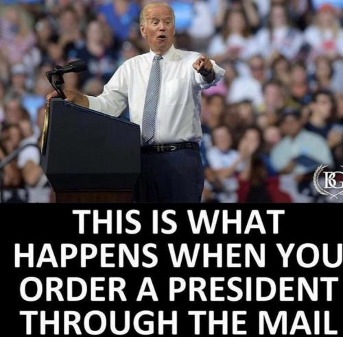 7f7dfd4532cb575c54a457ddd98f6919_500x0