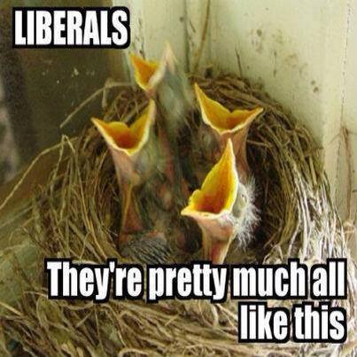 Dems317