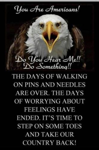 D4AF5B32-A590-44F9-8BF3-175FD2AD6363