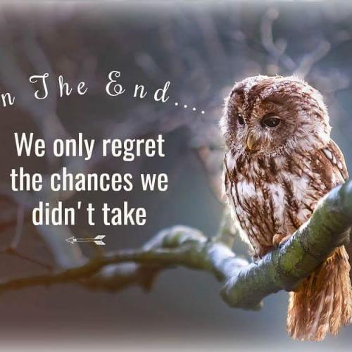 IMG_20180207_211426_115