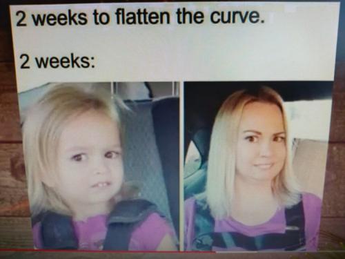 TwoWeeksToFlattenCurve