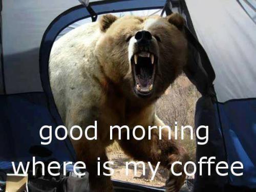 1378456_230255093804883_835806978_n