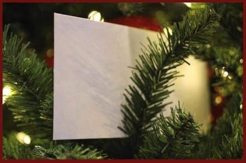 FB_IMG_1639008618044